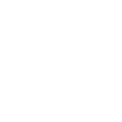 Fluid image
